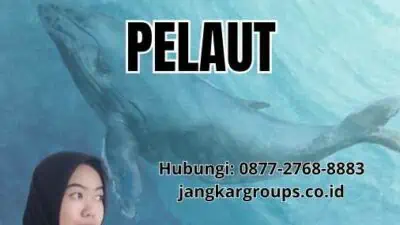 Ukuran Foto Untuk Buku Pelaut