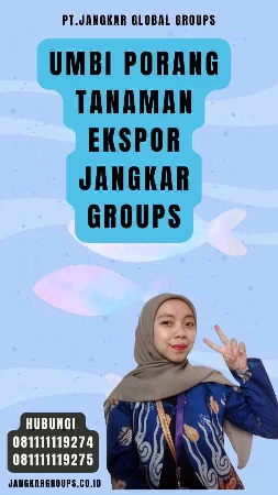 Umbi Porang Tanaman Ekspor Jangkar Groups