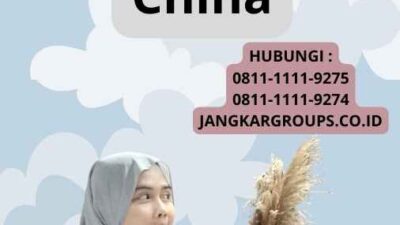 Visa Kerja Sementara Di China