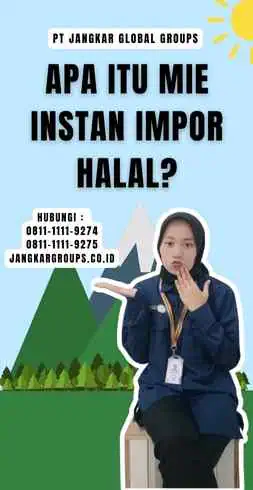 Apa Itu Mie Instan Impor Halal