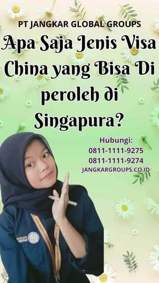 Apa Saja Jenis Visa China yang Bisa Di peroleh di Singapura