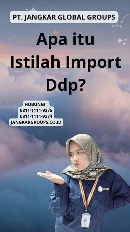 Apa itu Istilah Import Ddp?