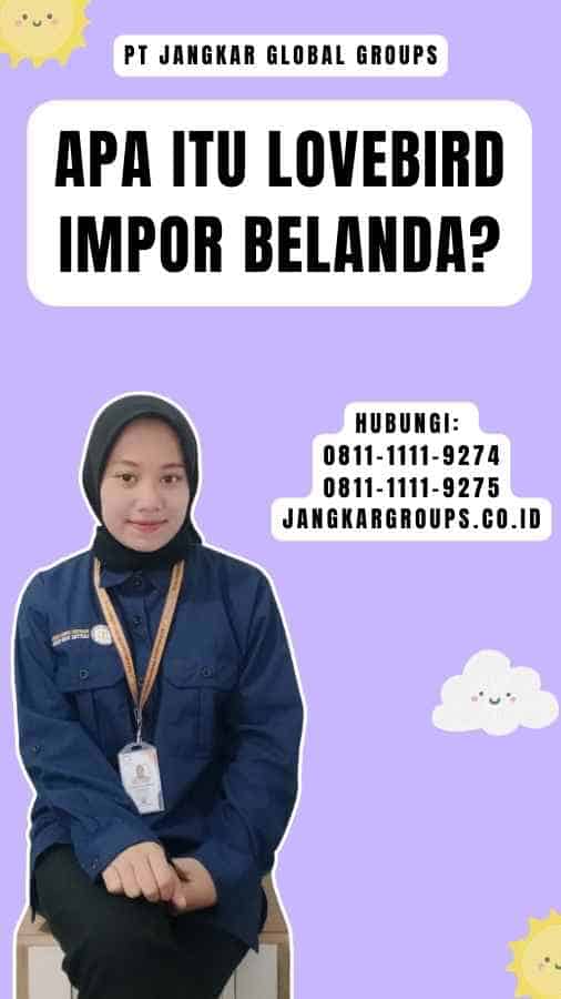 Apa itu Lovebird Impor Belanda