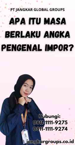 Apa itu Masa Berlaku Angka Pengenal Impor