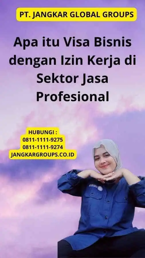 Apa itu Visa Bisnis dengan Izin Kerja di Sektor Jasa Profesional