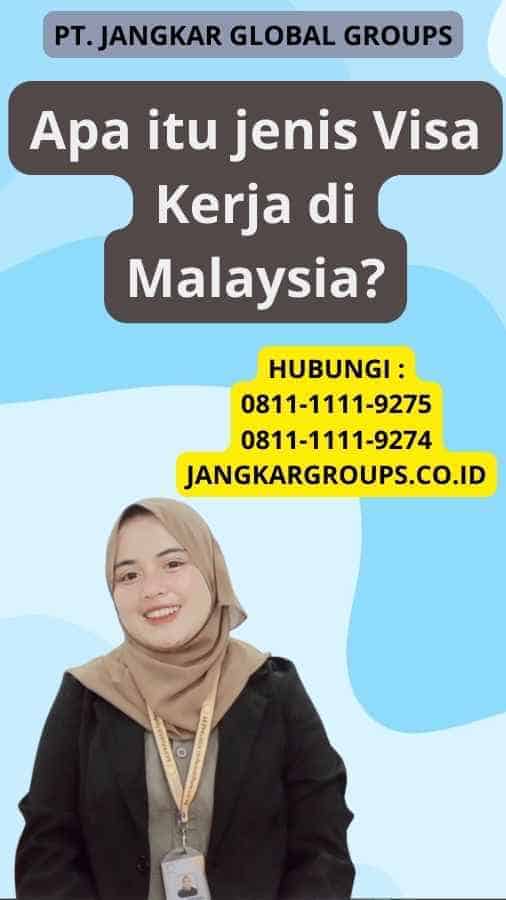 Apa itu jenis Visa Kerja di Malaysia?