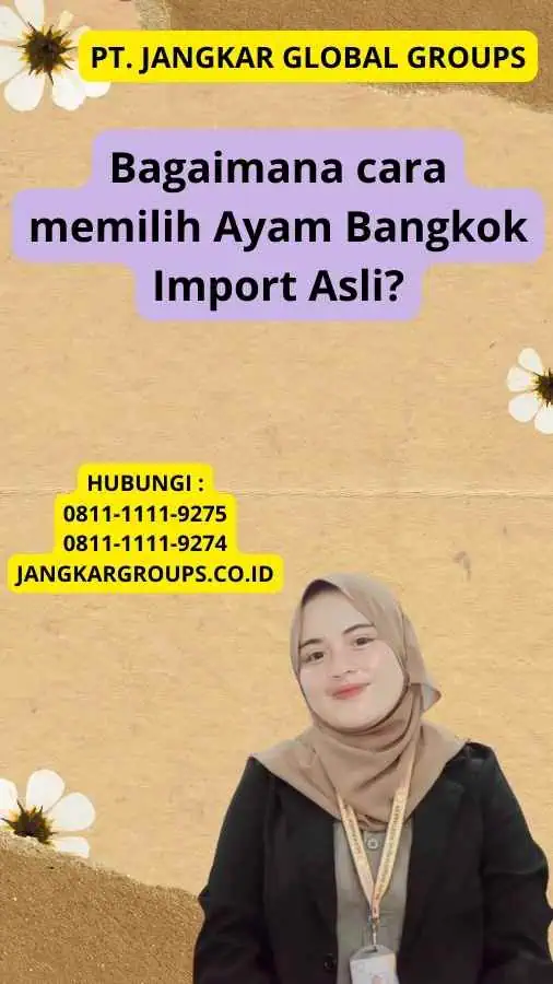 Bagaimana cara memilih Ayam Bangkok Import Asli?