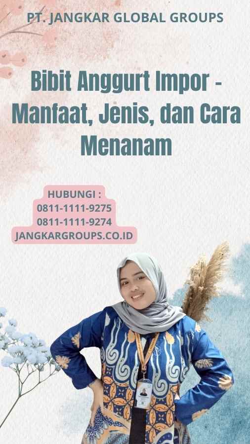 Bibit Anggurt Impor - Manfaat, Jenis, dan Cara Menanam