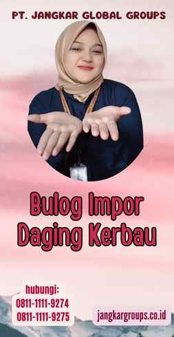 Bulog Impor Daging Kerbau