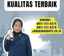 Buwas Impor Bawang Putih Kualitas Terbaik