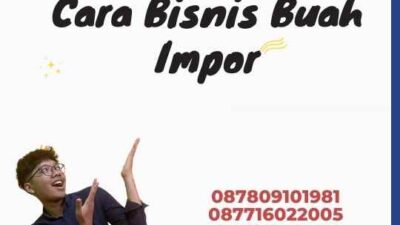 Cara Bisnis Buah Impor