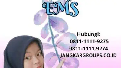 Cara Impor Barang Dengan EMS