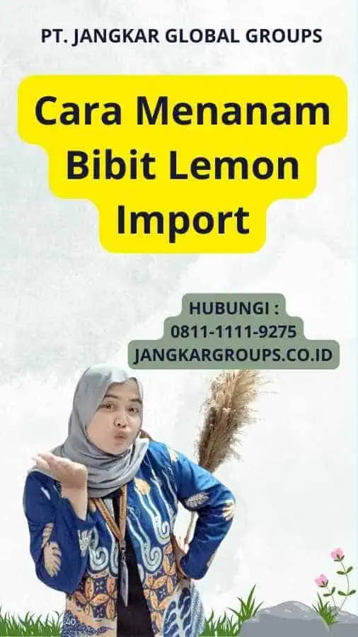 Cara Menanam Bibit Lemon Import