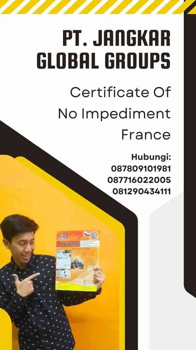 Certificate Of No Impediment France