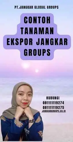 Contoh Tanaman Ekspor Jangkar Groups