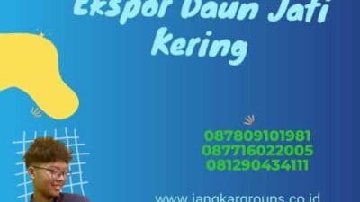 Ekspor Daun Jati Kering