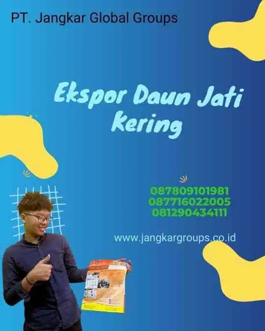 Ekspor Daun Jati Kering