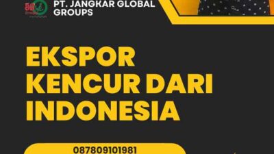 Ekspor Kencur Dari Indonesia