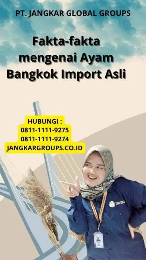 Fakta-fakta mengenai Ayam Bangkok Import Asli