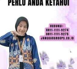 Gambar Impor Pesawat Semua yang Perlu Anda Ketahui
