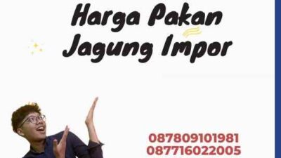 Harga Pakan Jagung Impor