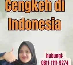 Impor Cengkeh di Indonesia