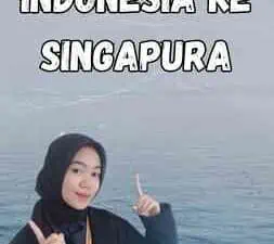 Impor Indonesia Ke Singapura