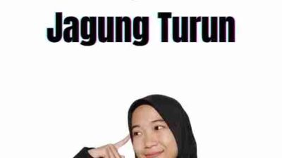 Impor Jagung Turun