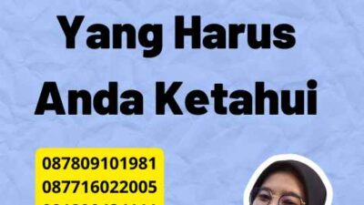 Impor Kertas Dari China: Apa Yang Harus Anda Ketahui