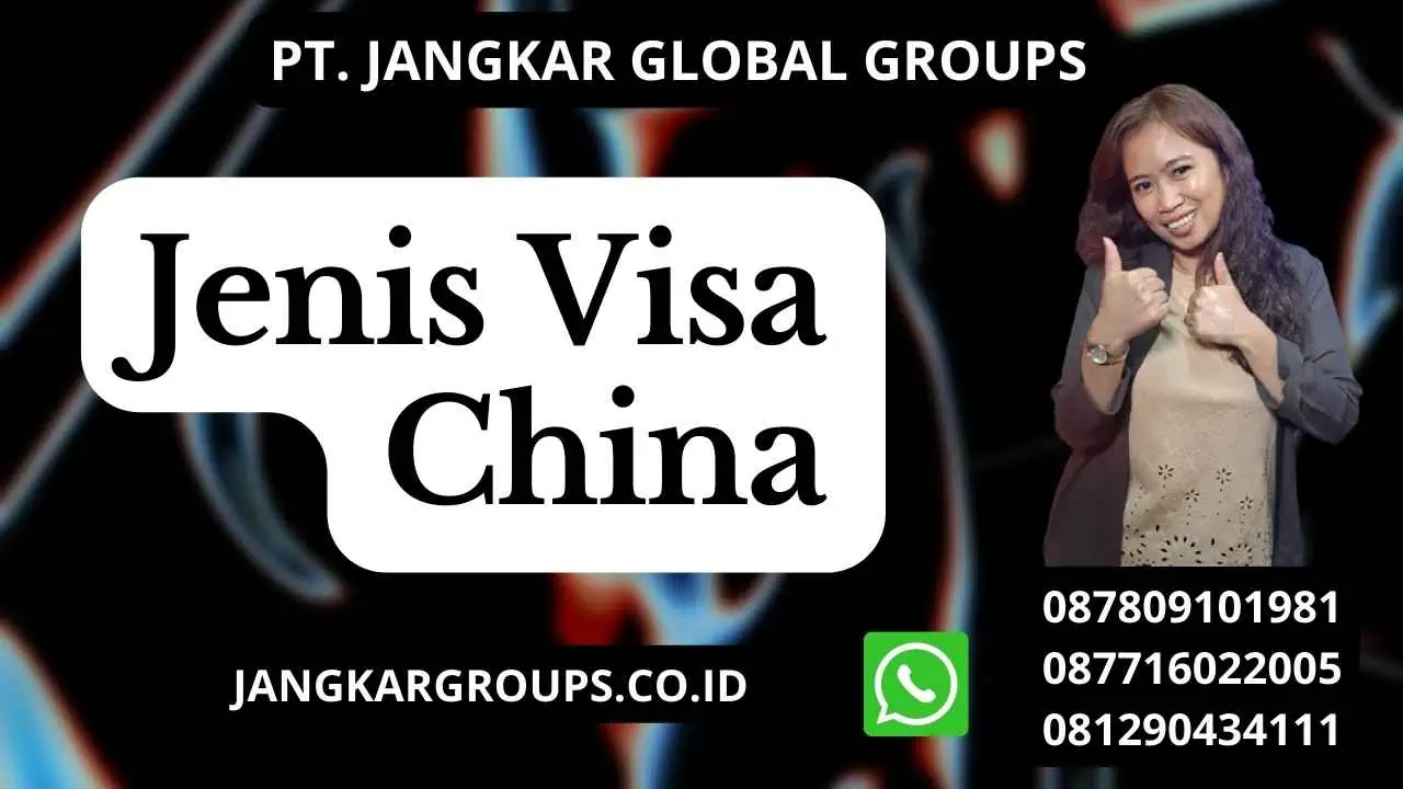 Jenis Visa China