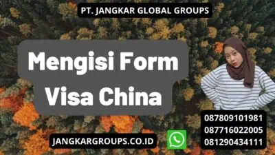 Mengisi Form Visa China