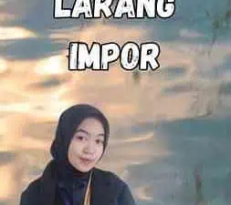 Pemerintah Larang Impor