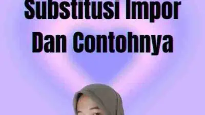 Pengertian Substitusi Impor Dan Contohnya