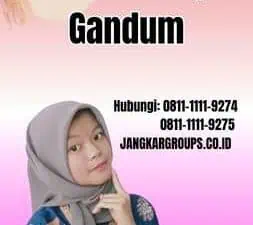 Peraturan Impor Gandum