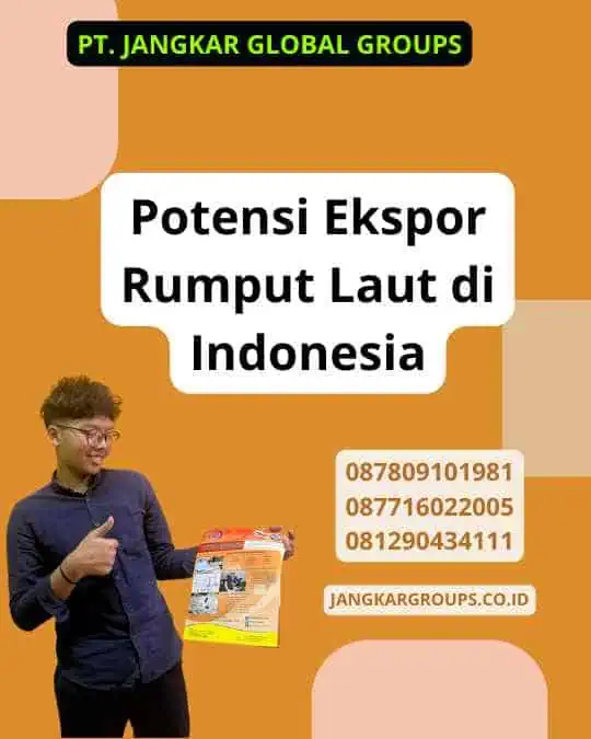 Potensi Ekspor Rumput Laut di Indonesia