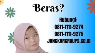 Ppi Impor Beras Perlu Anda Ketahui tentang Impor Beras