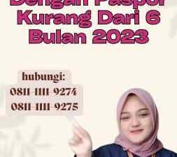 Pulang Ke Indonesia Dengan Paspor Kurang Dari 6 Bulan 2023