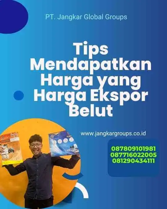 Tips Mendapatkan Harga yang Harga Ekspor Belut