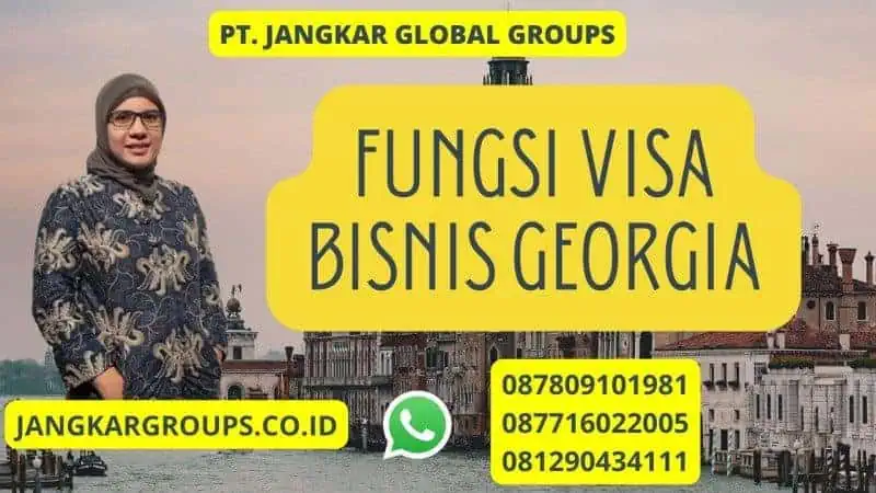 Fungsi VISA Bisnis Georgia