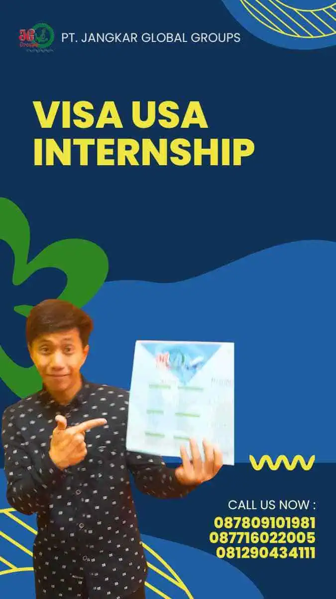 Visa USA Internship