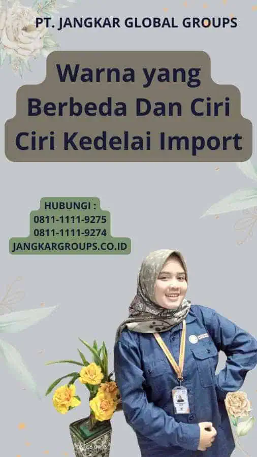 Warna yang Berbeda Dan Ciri Ciri Kedelai Import