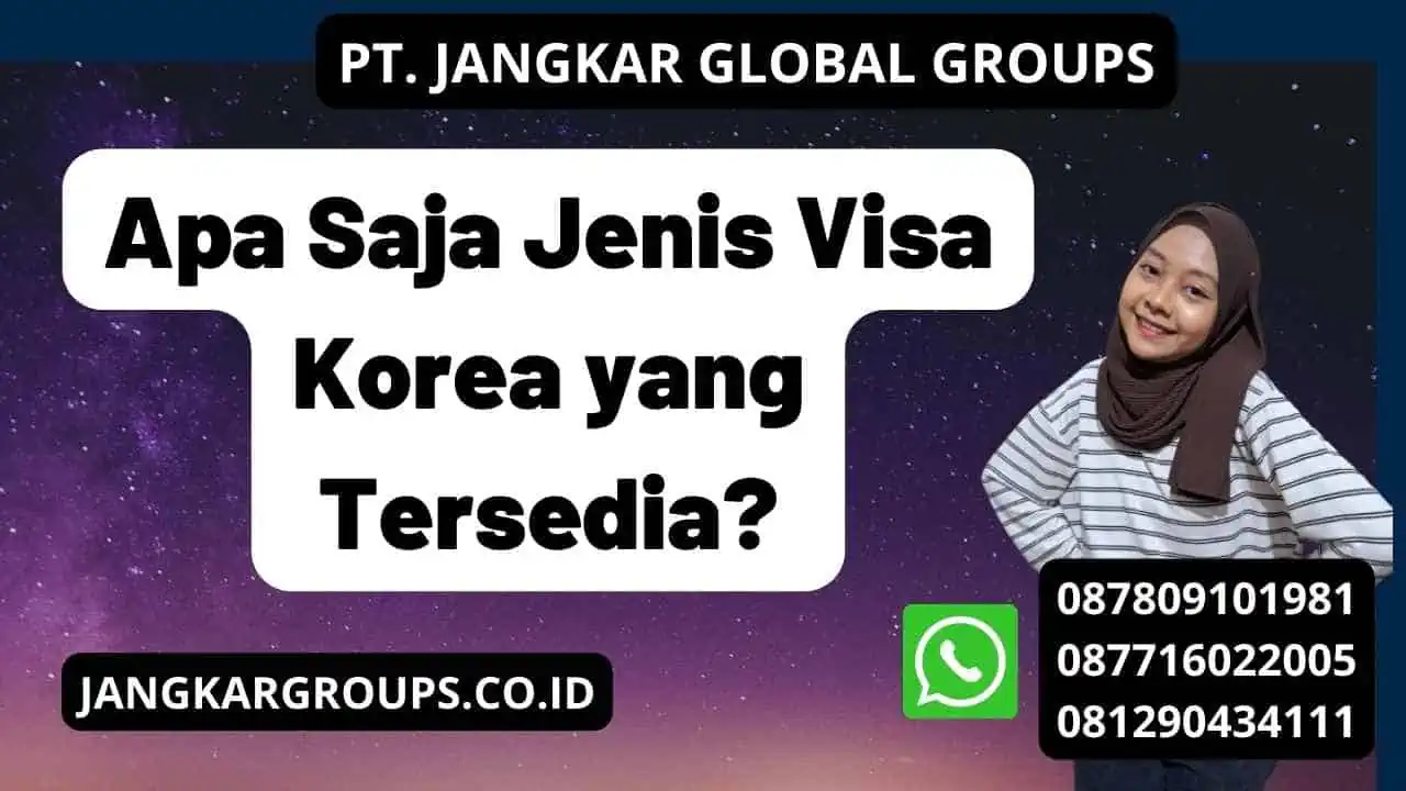 Apa Saja Jenis Visa Korea yang Tersedia?