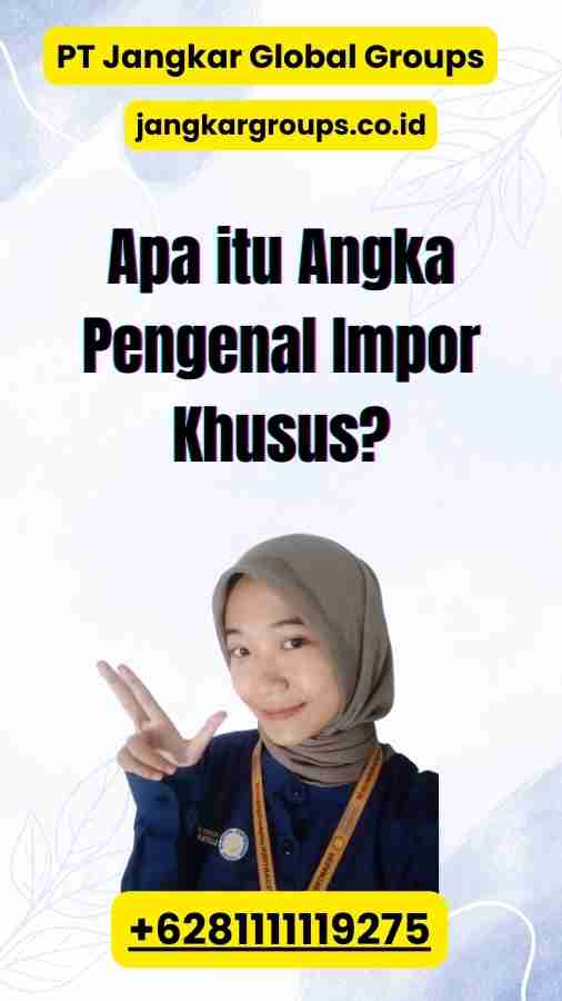 Apa itu Angka Pengenal Impor Khusus?