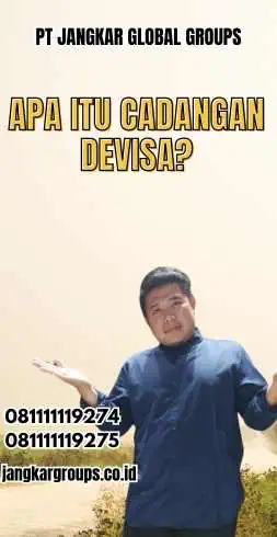 Apa itu Cadangan Devisa?