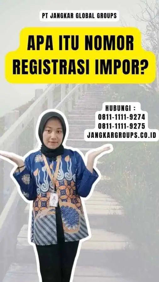 Apa itu Nomor Registrasi Impor