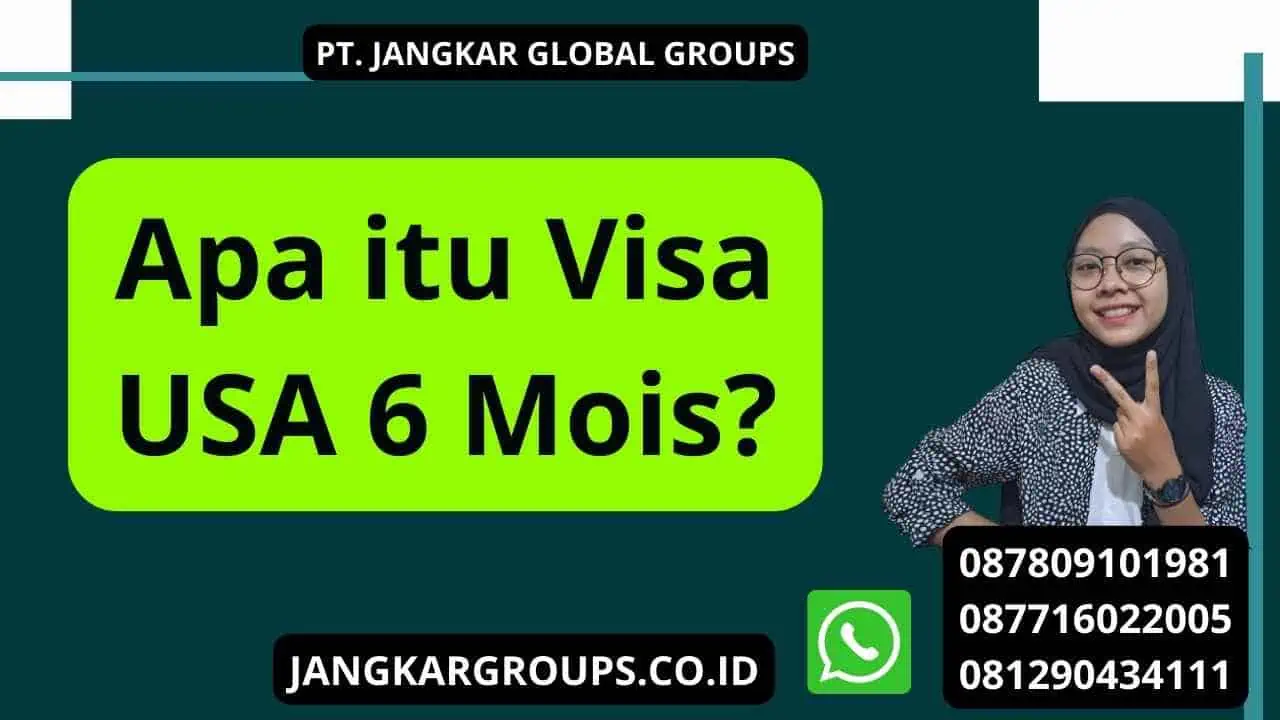 Apa itu Visa USA 6 Mois?