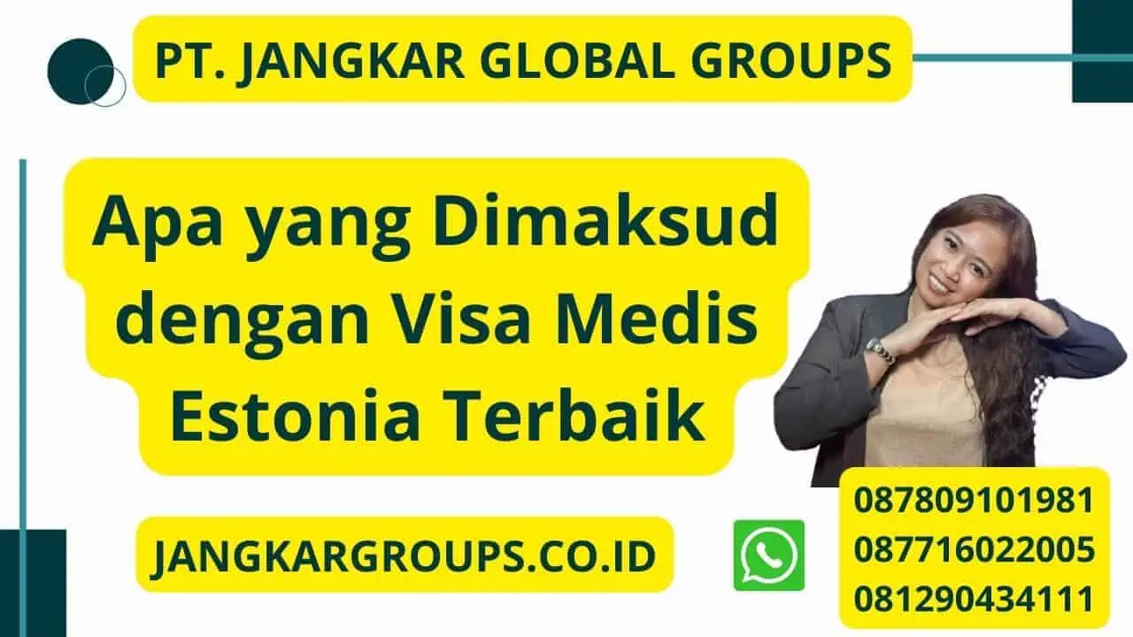 Apa yang Dimaksud dengan Visa Medis Estonia Terbaik