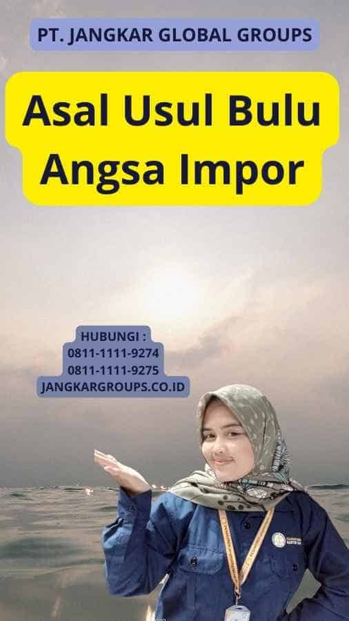 Asal Usul Bulu Angsa Impor