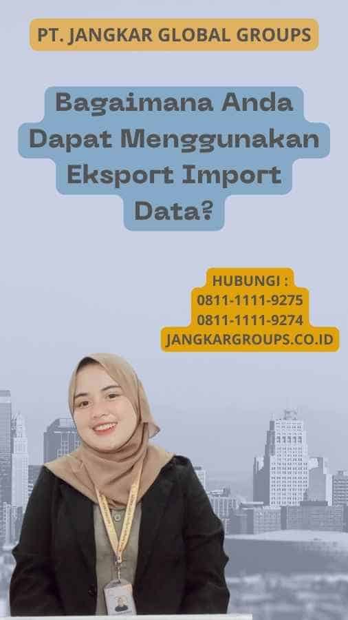 Bagaimana Anda Dapat Menggunakan Eksport Import Data?