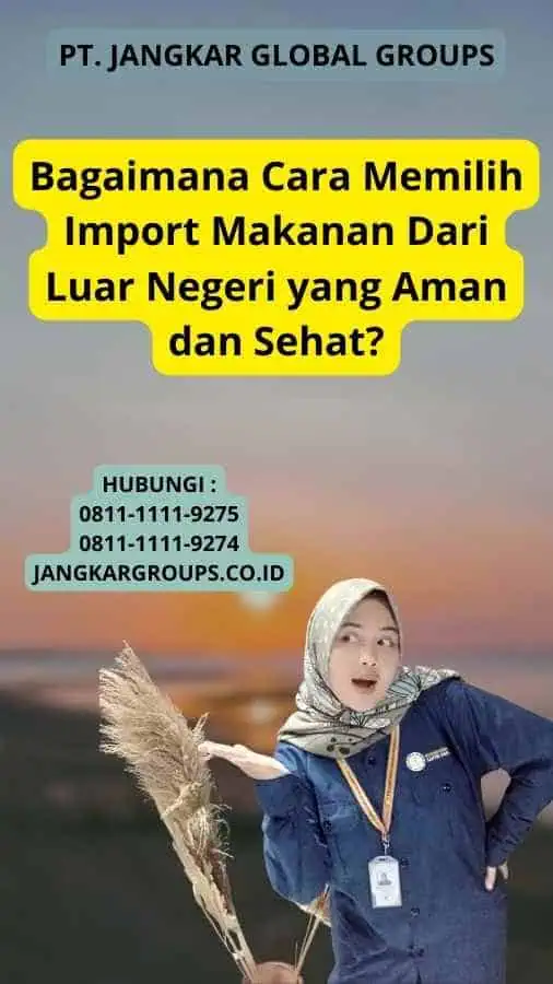 Bagaimana Cara Memilih Import Makanan Dari Luar Negeri yang Aman dan Sehat?